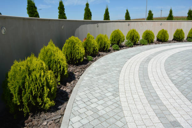 Best Driveway Paving Near Me  in North Laurel, MD